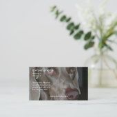 Weimeraner犬の名刺 名刺 (スタンド正面)