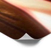 Weirdエジプト11 ポスター (角)