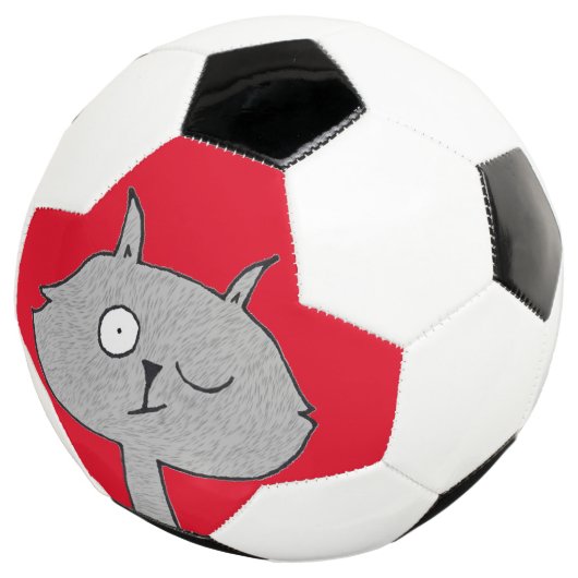 Weird Gray Cat  サッカーボール (3/4)