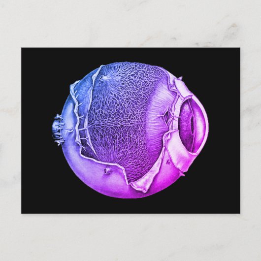 Weird Modern Vintage Eyeball Detail Drawing Purple ポストカード (正面)