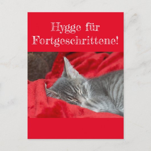 Weisheiten&Humor Hygge ..! Katze schläft auf rot ポストカード (正面)