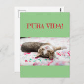 Weisheiten&Humor PuraVida! Katze schläft auf grün ポストカード (正面/裏面)