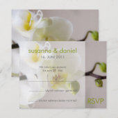 Weiße Orchidee • Antwortkarte zur Hochzeit 招待状 (正面/裏面)