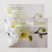 Weisse Orchidee ・ Save the Date Postkarte 案内ポストカード (正面/裏面)