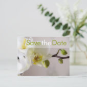 Weisse Orchidee ・ Save the Date Postkarte 案内ポストカード (スタンド正面)