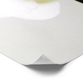 Weiße Orchideen ポスター (角)