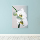 Weiße Orchideen Leinwandbild キャンバスプリント (インサイチュ (ウッドフロア))