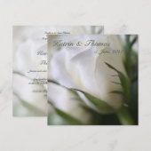 Weiße Rose • Hochzeits-Einladung 招待状 (正面/裏面)