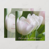 Weiße Tulpen • Save-the-Date-Postkarte セーブザデート (正面/裏面)