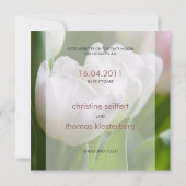 Weiße Tulpen • Save-the-Date-Postkarte セーブザデート (裏面)