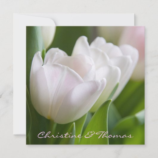 Weiße Tulpen • Save-the-Date-Postkarte セーブザデート (正面)