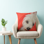 weißer Havaneser-Hund liegt auf orange Kissen クッション (椅子)