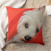 weißer Havaneser-Hund liegt auf orange Kissen クッション (ブランケット)