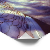 Weißer Pfau und Schönheit in rosa Eleganz ポスター (コーナー)