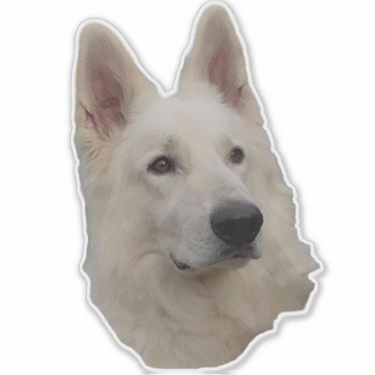 weisser Schäferhund Kopf Aufkleber シール (正面)
