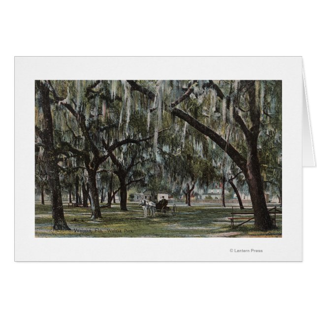Welaka, FL – ウェルカパークとモッシーの木々の景色 (正面横)