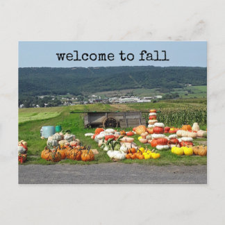 welcome to fall pumpkin farm post card ポストカード