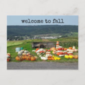 welcome to fall pumpkin farm post card ポストカード (正面)