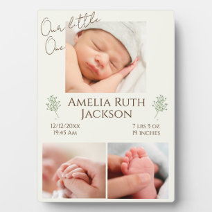Welcome to the World, Little One"写真3 フォトプラーク