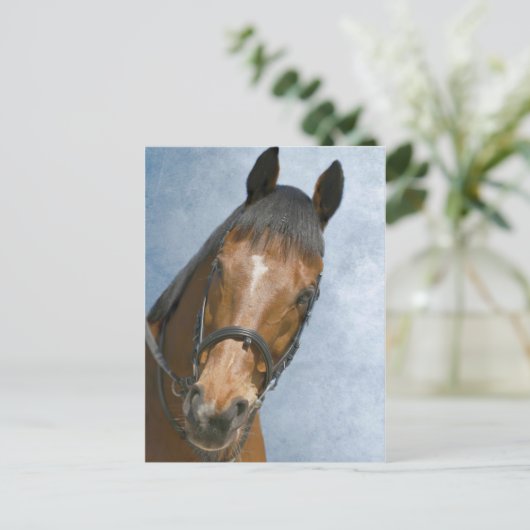 Well Hello There ポストカード (スタンド正面)