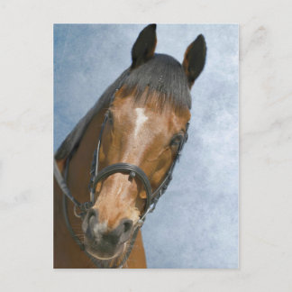 Well Hello There ポストカード