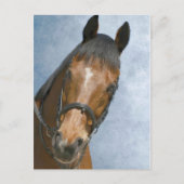 Well Hello There ポストカード (正面)