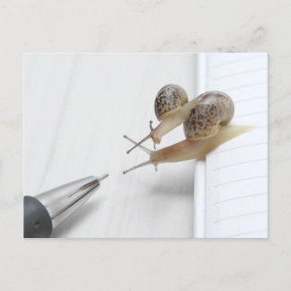 We'll help you study ポストカード