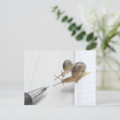 We'll help you study ポストカード (スタンド正面)