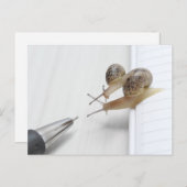 We'll help you study ポストカード (正面/裏面)