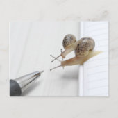 We'll help you study ポストカード (正面)