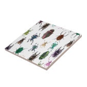 Wellcodaのカブトムシのタイプ生息地の昆虫の生命 タイル (側面)