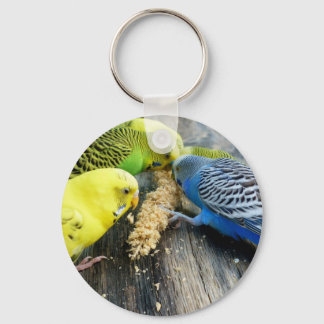 Wellensittiche (Melopsittacus undulatus) キーホルダー