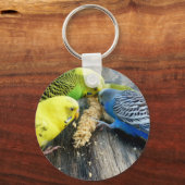 Wellensittiche (Melopsittacus undulatus) キーホルダー (正面)