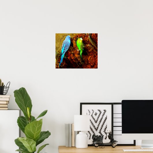 Wellensittiche (Melopsittacus undulatus) ポスター (ホームオフィス)