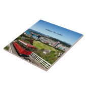 Wellington, New Zealand タイル (側面)