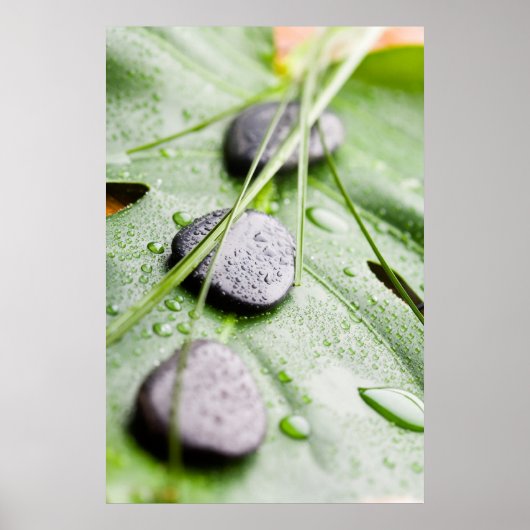 Wellnessポスター/キャンバス印刷 ポスター (正面)