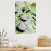 Wellnessポスター/キャンバス印刷 ポスター (キッチン)