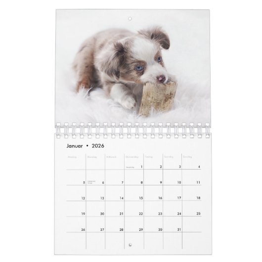 Welpen Kalender カレンダー (1月 2026)