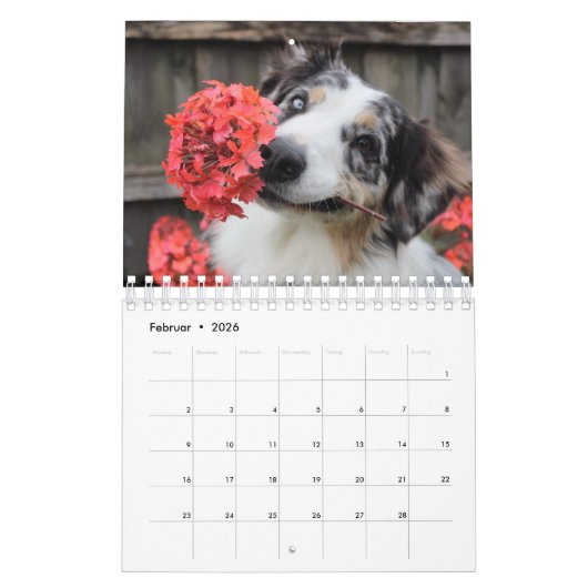 Welpen Kalender カレンダー (2月 2026)