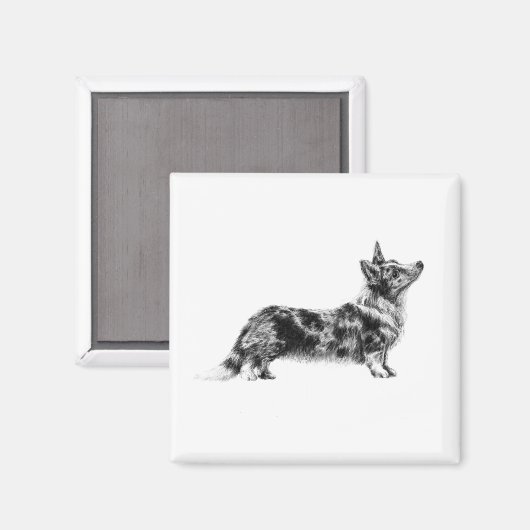 Welsh Cardigan Corgi magnet マグネット (正面/裏面)
