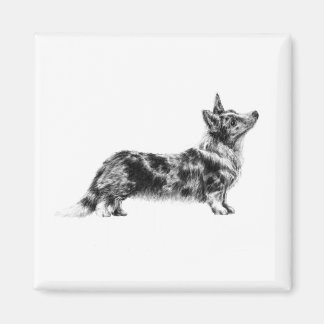 Welsh Cardigan Corgi magnet マグネット