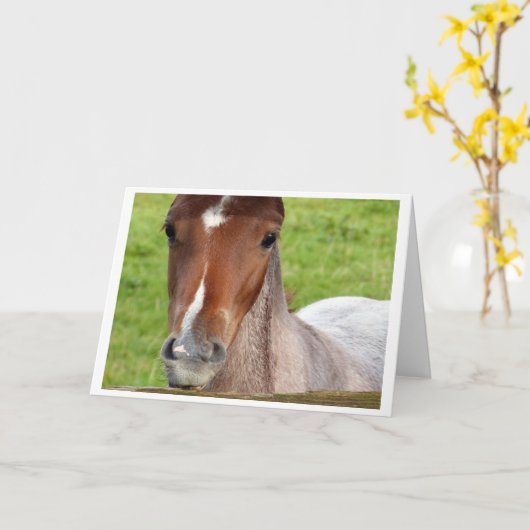 Welsh cob foal horse card カード (黄色い花)