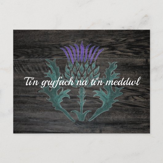 Welsh Cymraeg Encouragement ポストカード (正面)