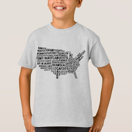 Welsh Placenames in the USA Word Art Tシャツ (正面)