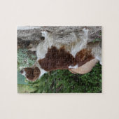 Welsh_Springer_Spaniel_full.png ジグソーパズル (横)