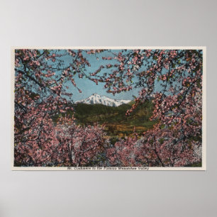 Wenatchee、木が付いているMt.のカシミヤ織のWAView ポスター