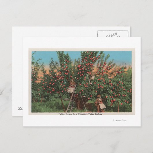 Wenatchee、Apple Orchard & WorkersのWAView ポストカード (正面/裏面)