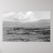 Wenatchee、WAタウンビューとオーチャード写真 ポスター (正面)