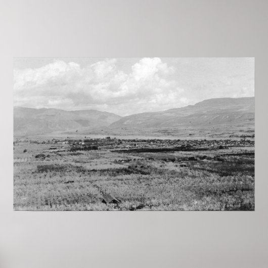 Wenatchee、WAタウンビューとオーチャード写真 ポスター (正面)