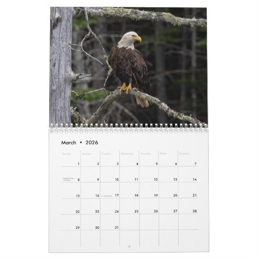 Wendy’ Wish 2026 18 Month, Medium Calendar カレンダー (3月 2026)